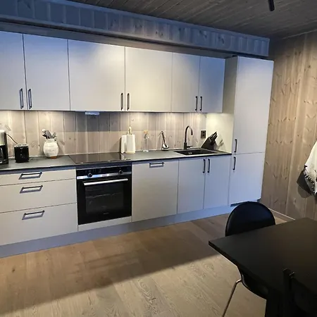 Charming New Ski-in-ski-out In * Hemsedal