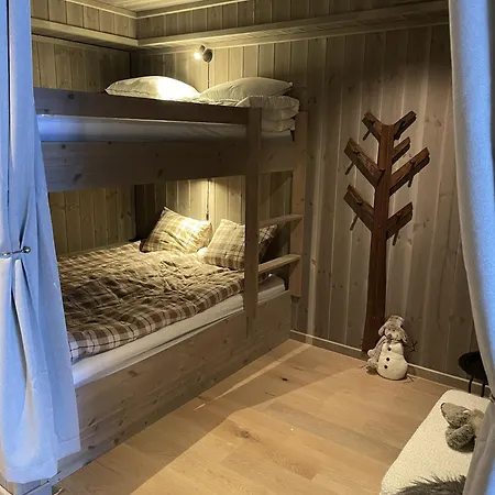 Charming New Ski-in-ski-out In * Hemsedal