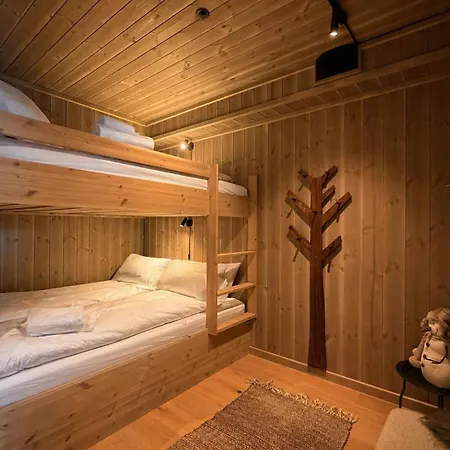 Charming New Ski-in-ski-out In Apartmán