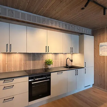 Charming New Ski-in-ski-out In Hemsedal