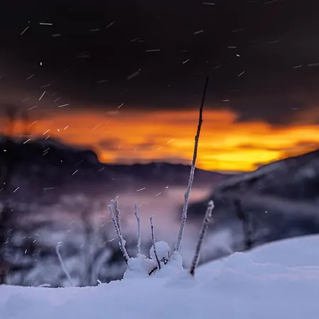 Charming New Ski-in-ski-out In Apartmán Hemsedal