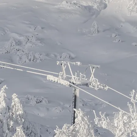 Charming New Ski-in-ski-out In