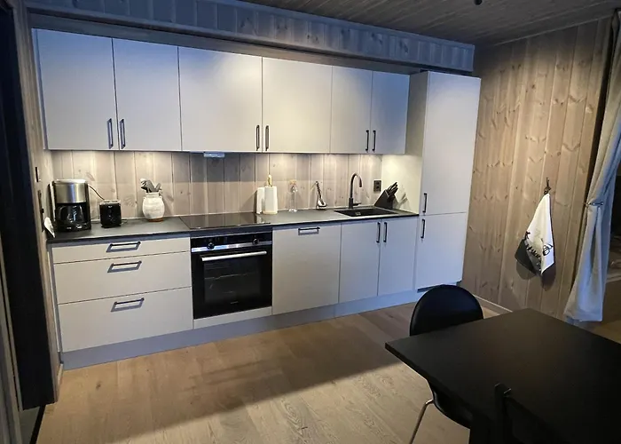 Charming New Ski-in-ski-out In * Hemsedal